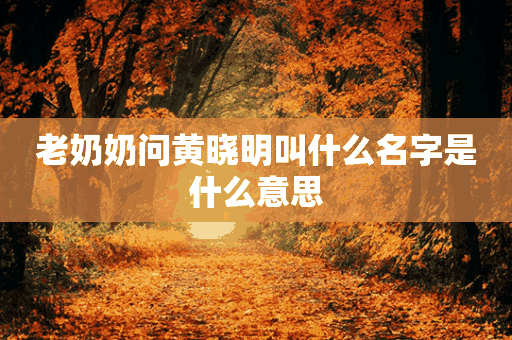 老奶奶问黄晓明叫什么名字是什么意思